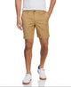 Kelp
